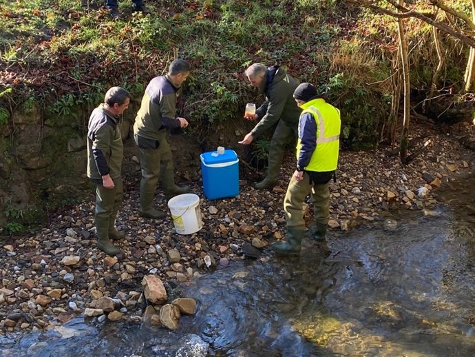 Repoblación del Río Yernes.