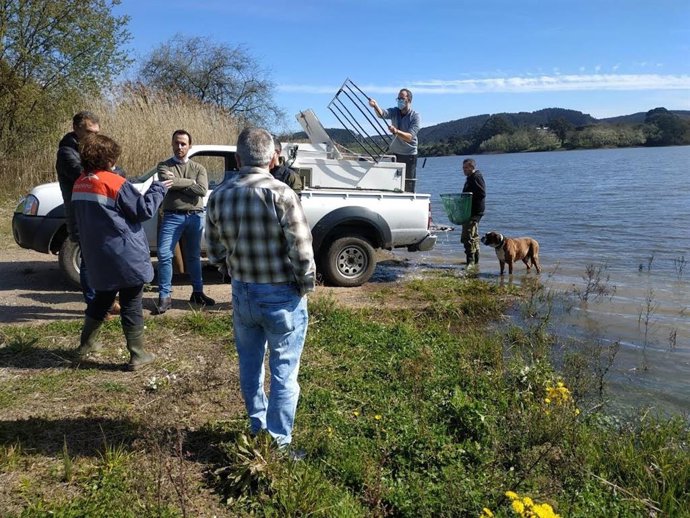 Reintroducción de truchas