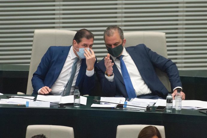 El concejal del Grupo Municipal Vox, Pedro Fernández Hernández (i), y el secretario general de Vox, Javier Ortega Smith, en el Palacio de Cibeles.