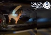 Detenido un conductor en Hortaleza con hachís y dinero en su vehículo