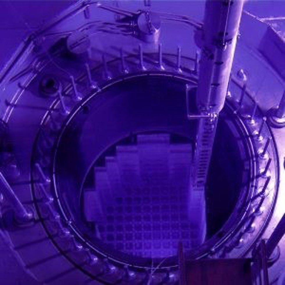 Central nuclear