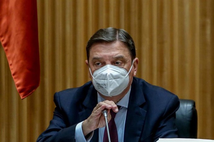 Archivo - El ministro de Agricultura, Pesca y Alimentación, Luis Planas, comparece en la Comisión de Agricultura, Pesca y Alimentación, en el Congreso de los Diputados.