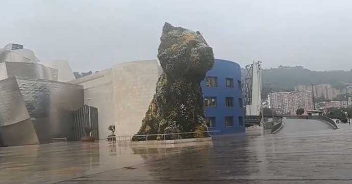 Archivo - Imagen del exterior del Museo Gugenheim y de Puppy en una jornada lluviosa