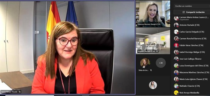 La secretaria general de Innovación del Ministerio de Ciencia e Innovación, Teresa Riesgo, en el encuentro online organizado por la CTA