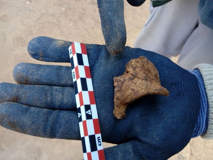 Restos óseos hallados en el cementerio de ses Figueretes, Ibiza