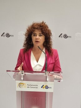 La adjunta de Igualdad y Violencia de Género de la Diputación del Común, Beatriz Barrera, en la presentación del informe sobre el cumplimiento de la ley de igualdad en las administraciones públicas