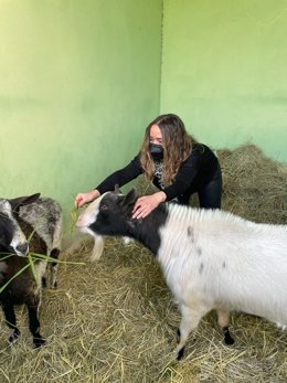La concejala de Bienestar Animal, Gloria Tello, visita el centro de Avifauna, que ha rescatado a tres cabras abandonadas en el término municipal de Valncia