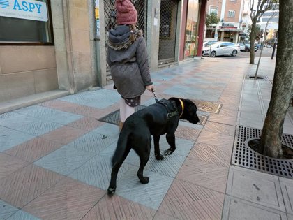 de 1.000 escolares de Salamanca cuidar mascotas en talleres de tenencia responsable