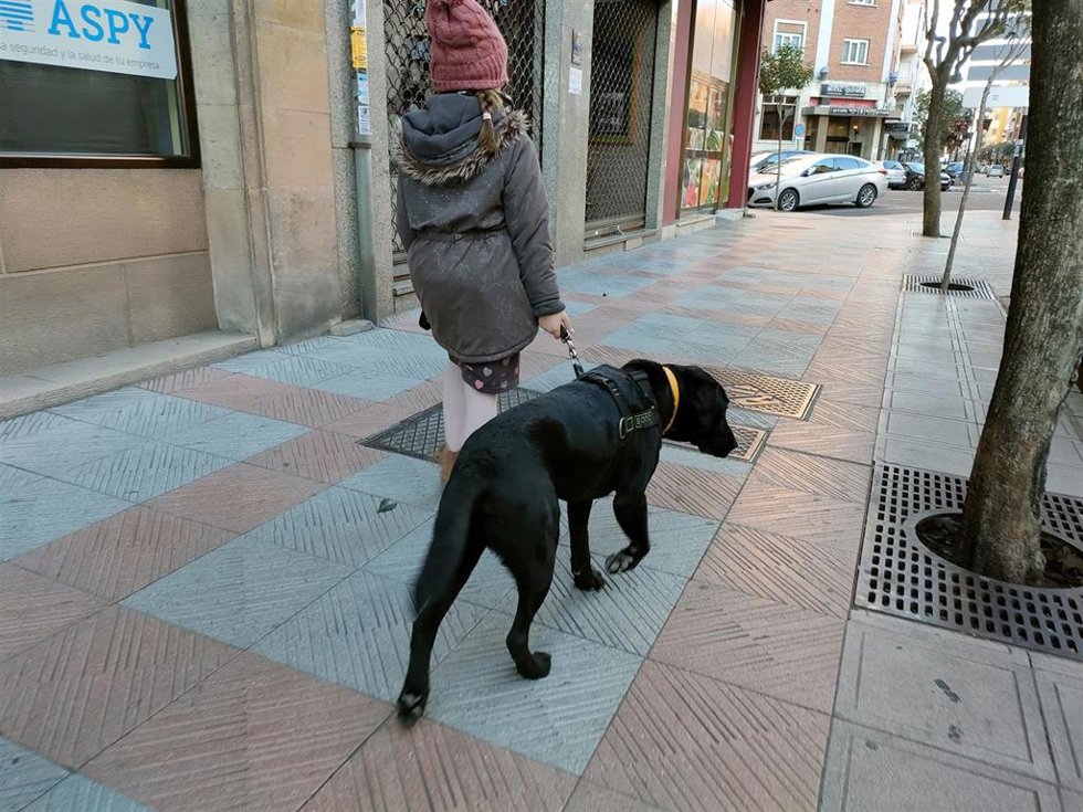 Archivo - Una niña con un perro.
