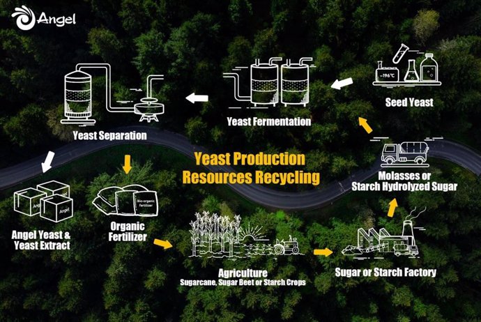 Angel Yeast recycles the organic matter in the yeast fermentation wastewater to produce fertilizer for crops, paving the way for building a circular supply chain.
