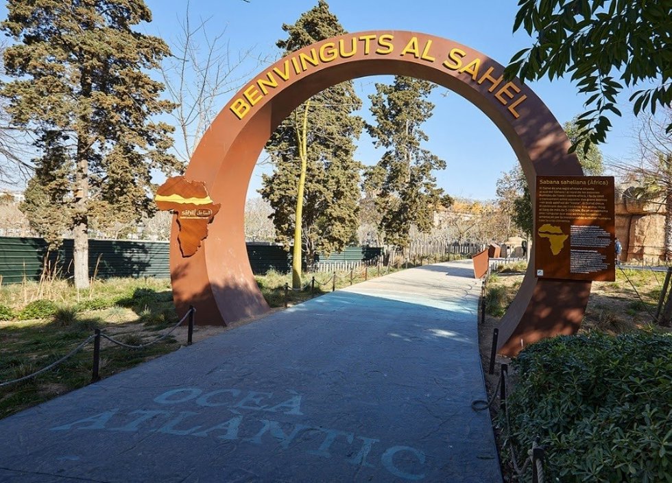 El punto de partida de la nueva instalación del Zoo de Barcelona para dar a conocer la sabana del Sahel.