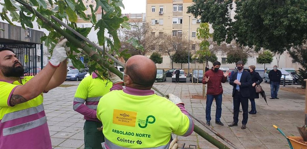 El delegado de Parques y Jardines, David Guevara, ha asistido a la plantación en el Polígono San Pablo.
