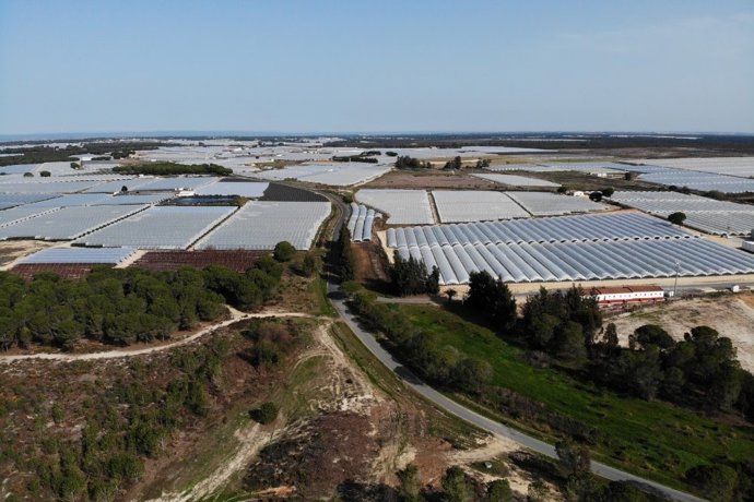 Vista área de una finca de regadios en Doñana. (Foto de archivo).