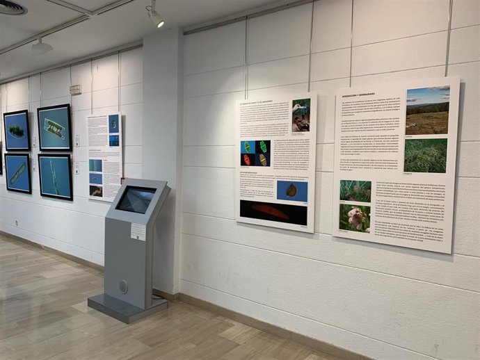 La exposición Tesoros de las turberas del Instituto de Estudios Riojanos se exhibe en Calahorra