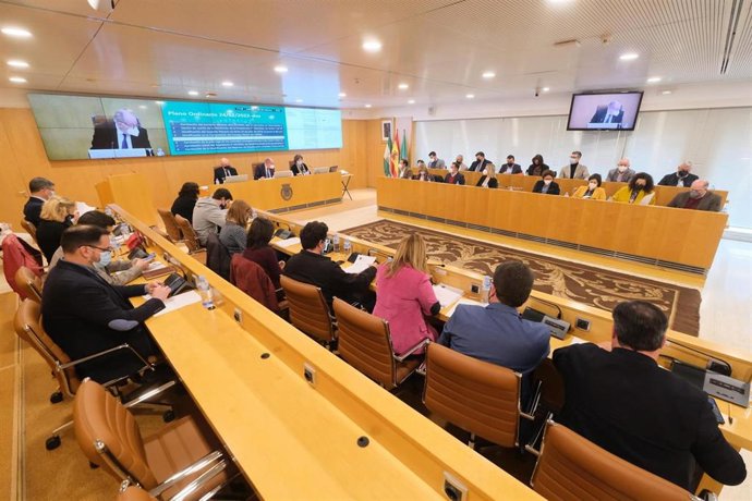 Pleno de la Diputación