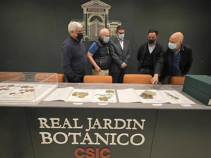 El Real Jardín Botánico y el IMIDRA presentan una colección de 200 variedades de vid.