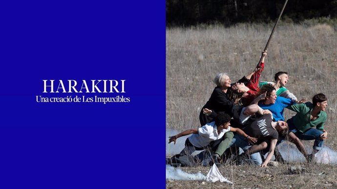 Cartel de la obra 'Harakiri' en el TNC