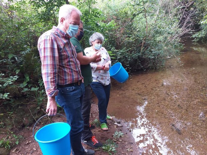 Archivo - Suelta de alevines de trucha autóctona en el río Piles