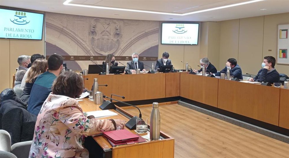 El consejero de Desarrollo Autonómico José Ángel Lacalzada en una comparecencia de prensa en el Parlamento