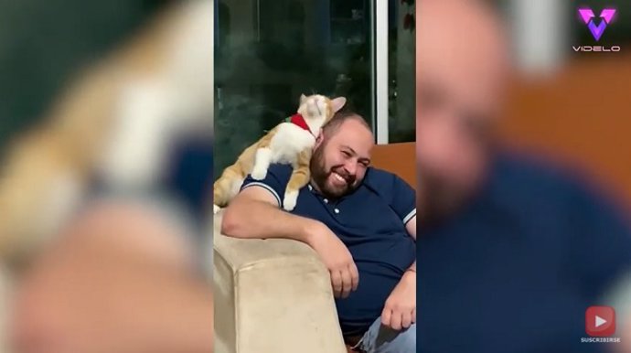 A este cariñoso gato le encanta mostrar su afecto