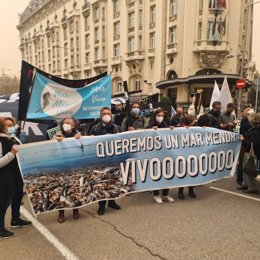 Representantes de colectivos en defensa del Mar Menos se concentran en Madrid coincidiendo con la defensa de la ILP que persigue dotar a la laguna de personalidad jurídica propia en la Comisión de Transición Ecológica del Congreso de los Diputados