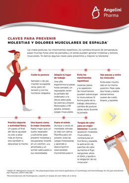 Claves para prevenir molestias y dolores musculares de espalda