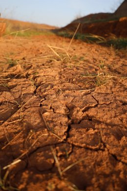 Archivo - Evidencias de sequía en el Embalse de La Vega del Jabalón