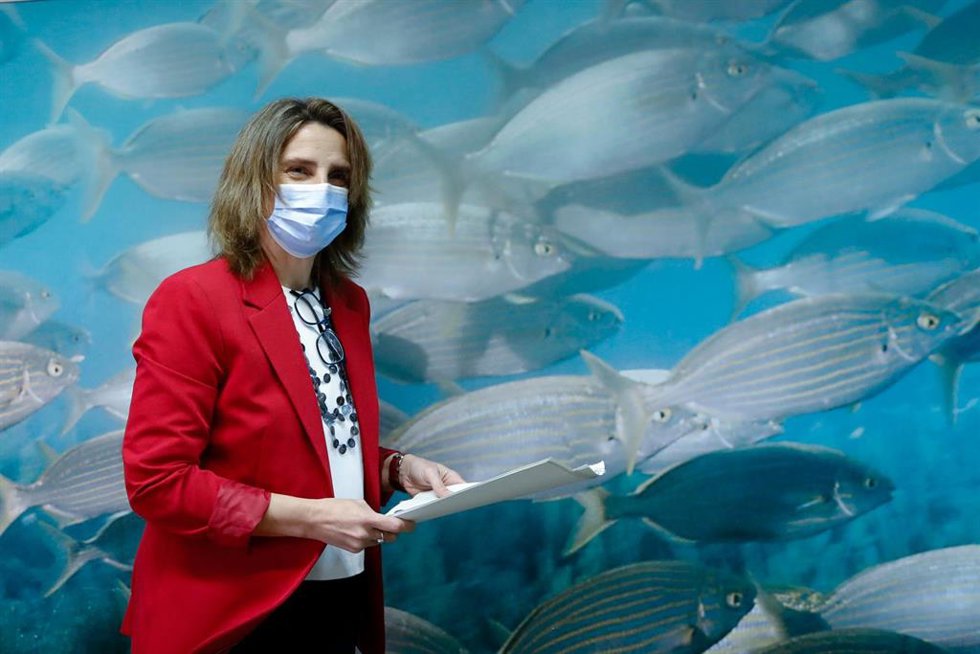 Archivo - La vicepresidenta tercera y ministra para la Transición Ecológica y el Reto Demográfico, Teresa Ribera.