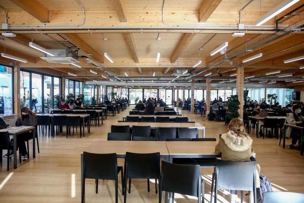 Archivo - Alumnos estudian en una sala de estudio perteneciente al Campus de la Universidad Francisco de Vitoria (UFV), en Pozuelo de Alarcón (Madrid)