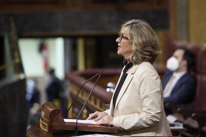 La diputada del PSOE, Mercé Perea, interviene en un pleno en el Congreso 