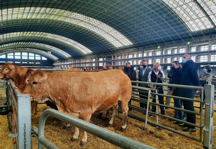 Archivo - Mercado Nacional de Ganados de Torrelavega.- Archivo