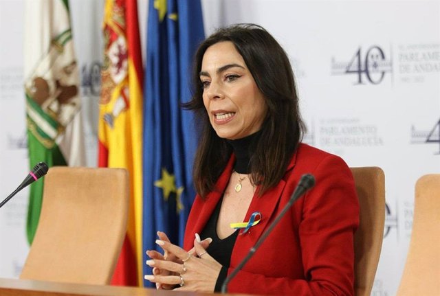 La portavoz de Cs en el Parlamento de Andalucía, Teresa Pardo, este miércoles en rueda de prensa.