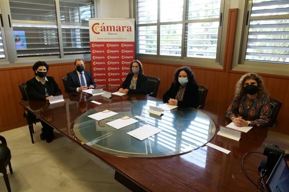 Archivo - Firma del plan entre Diputación , Cámara de Comercio y colegios profesionales