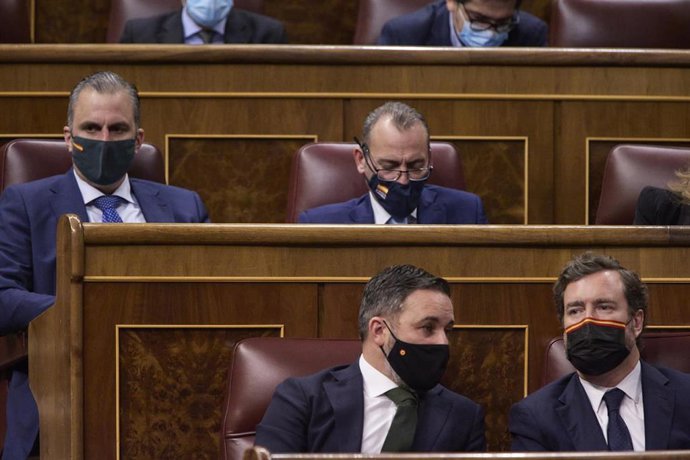 Santiago Abascal y Javier Ortega Smith, detrás, en el Pleno del Congreso de los Diputados