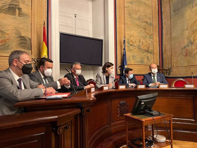 Los alcaldes de Don Benito y Villanueva explican el proceso en el Senado.