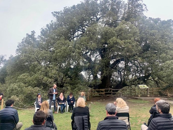 Aragón destinará 200.000 euros para impulsar el mantenimiento y la conservación de los árboles y arboledas singulares.