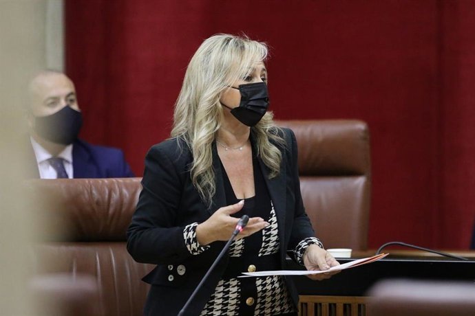 La diputada de Ciudadanos Ana Llopis.