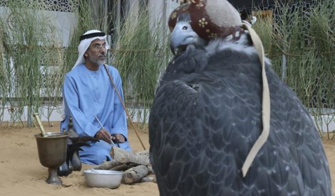 Comunicados Internacional