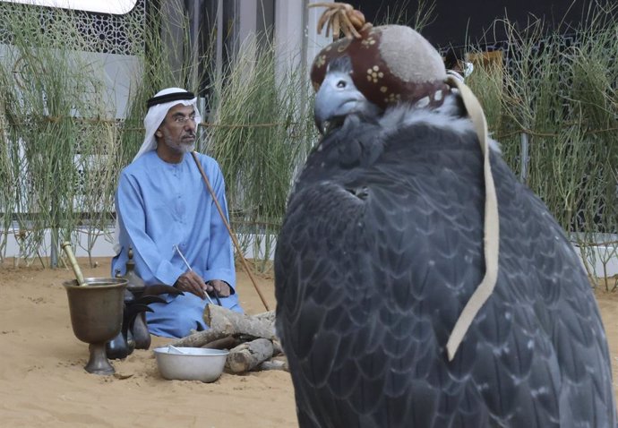 Part of the Abu Dhabi International Hunting and Equestrian Exhibition (ADIHEX 2021), auctions of falcons, horses, and camels, as well as the most beautiful captive-bred falcons, and Saluki beauty contest (Arabian hunting dogs) are among the most promine