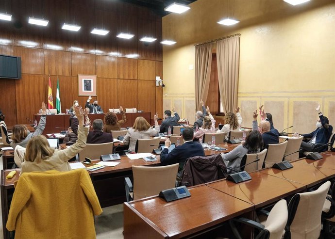 Votación en la comisión de Educación y Deporte del Parlamento andaluz.