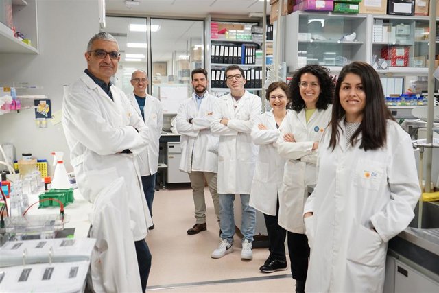 Investigadores del Grupo del doctor Xosé Bustelo en el CIC de Salamanca.
