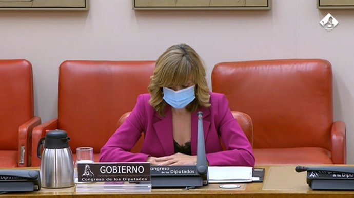 La ministra de Educación y FP, Pilar Alegría, en la Comisión de Educación y FP del Congreso este miércoles 16 de marzo de 2022