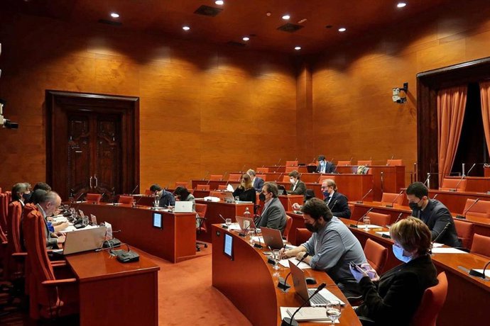 Comissió d'Afers Institucionals del Parlament del 17 de marzo de 2022