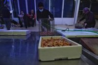 Pescaderos andaluces advierten de "escasa oferta de producto" por la huelga de transportes pero piden "tranquilidad"