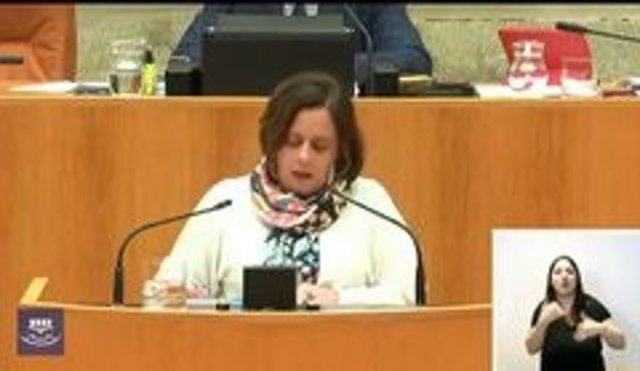 La diputada de IU, Henar Moreno