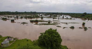 Internacional