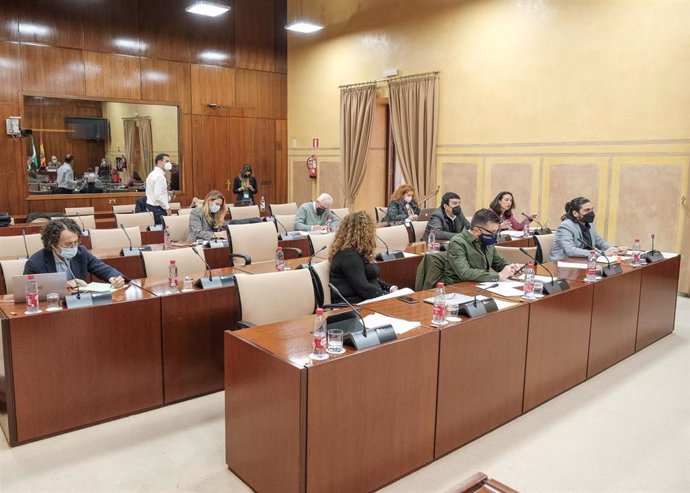 Diputados en la comisión de Presidencia del Parlamento andaluz.