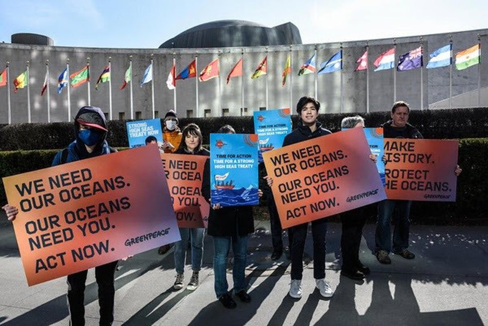 Governments are meeting for the IGC4 (4th Session of the Intergovernmental Conference) at the United Nations to negotiate towards a Global Ocean Treaty for international waters, which cover almost half of the planet (43%).