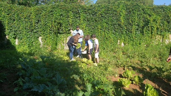 Archivo - Actividad con escolares