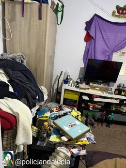 La Unidad de Policía Adscrita detiene en Málaga a un varón por aislar a su hijo de 10 años en una habitación durante un año